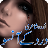 Urdu Shayari , Urdu Poetry icon