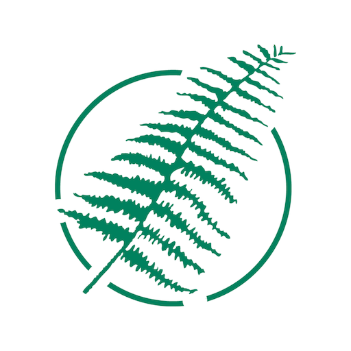 Fern Software logo