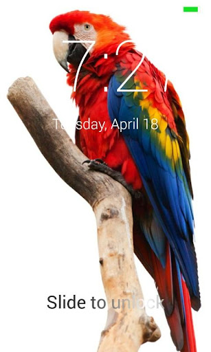 Parrot Lock Screen