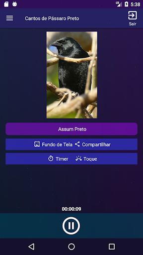 Cantos do Passaro Preto, Melro Screen 2