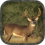 Cover Image of Download Whitetail Hunting Calls 2.0 APK