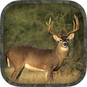 Top 27 Sports Apps Like Whitetail Hunting Calls - Best Alternatives