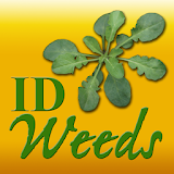 ID Weeds icon