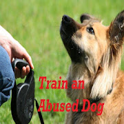 Train an Abused Dog