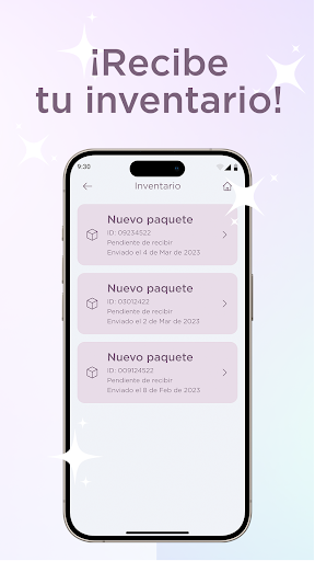 GBF Asesores Screen 2