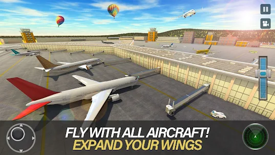 เครื่องบินจำลองการบิน 3D