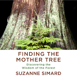 Icon image Finding the Mother Tree: Discovering the Wisdom of the Forest