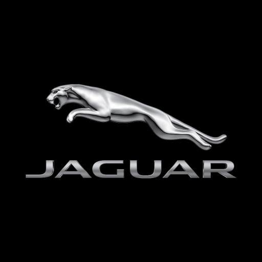 Jaguar Trading Cards 1.6 Icon
