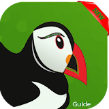 Guide Puffin Web Browser 2018 icon