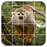 Tile Puzzles · Monkeys icon