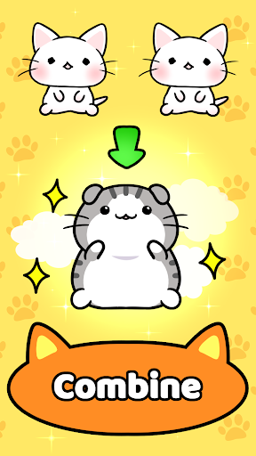 Cat Condo 2 1
