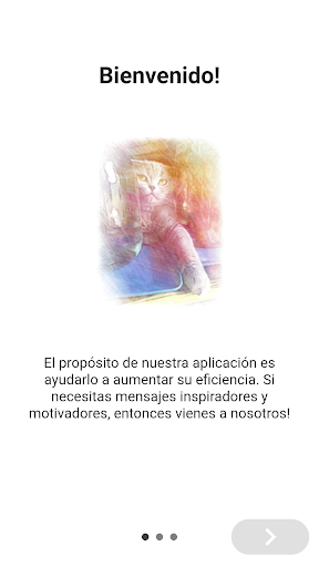 Vista previa de la aplicación