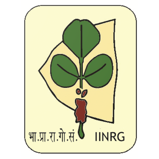 LakhKaDoctor logo