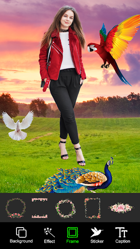 Android application Bird Photo Editor background screenshort