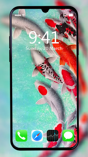 Koi Fish Wallpaper