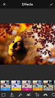 screenshot of Autumn Frames for Pictures