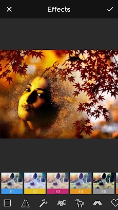 Autumn Frames for Picturesのおすすめ画像5
