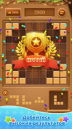 Game screenshot Wood Block Puzzle-SudokuJigsaw apk download