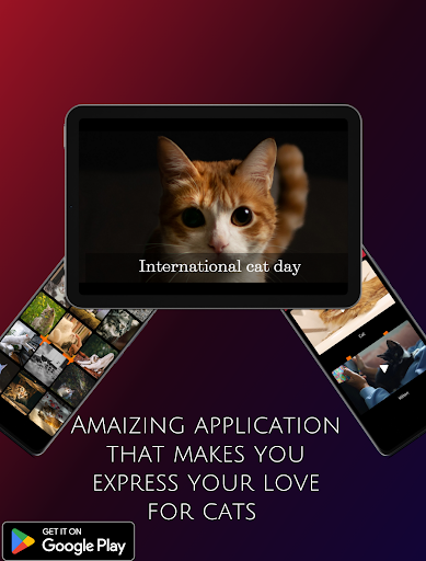 international cat day 2023 Screen 2