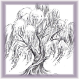 Beginners Learn To Draw Tree icon