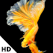 Betta Fish 3D Wallpaper HD - Androidアプリ