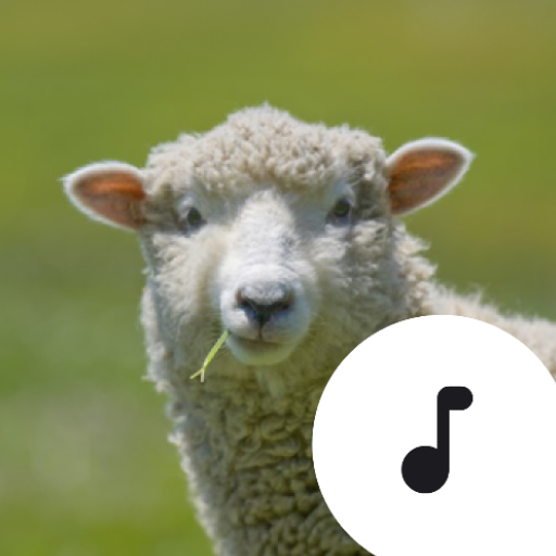 Sheep Sounds logo