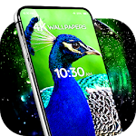 Cover Image of Herunterladen Wallpapers with birds  APK