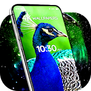 Wallpapers with birds