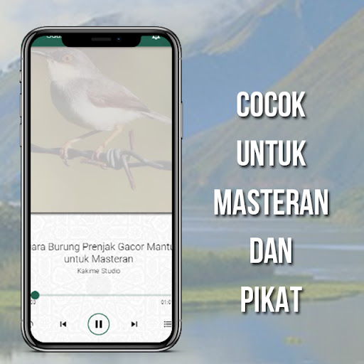Suara Burung Prenjak Gacor Screen 2