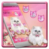 Pink Cute and Lovely Kitty Theme icon