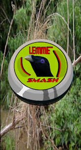 Lemme smash bird sound For Pc – Download For Windows 10, 8, 7, Mac 2