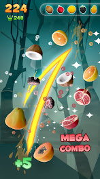 Fruit Shooter - Fruit Game poster 4
