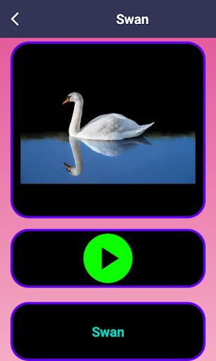 App-Vorschau