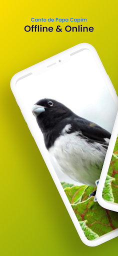 Android application Canto de Papa Capim Viviti screenshort