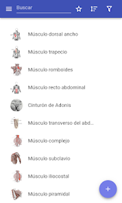 Screenshot 1 Sistema muscular android
