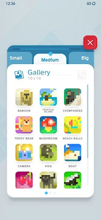Game screenshot Nonogram: Picross Logic Puzzle apk download
