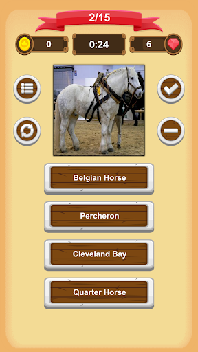 Horse Quiz Screen 3