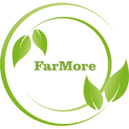 FarMore logo