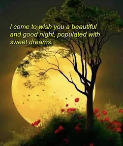Good Night World. Sweet Dreams! #grandmasfollies #grandma #goodnight