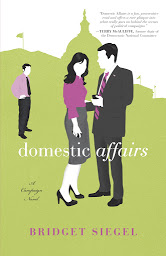 Icon image Domestic Affairs: A Novel