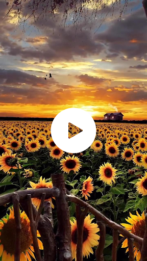Android application Nature Live Wallpaper HD screenshort