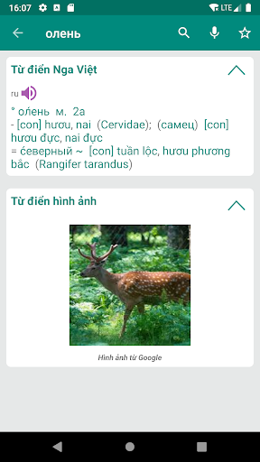 Russian Vietnamese Dictionary Screen 2