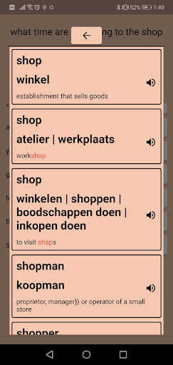 AI Dutch Dictionary Screen 3
