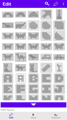 Polyomino Solver Pro Screen 2