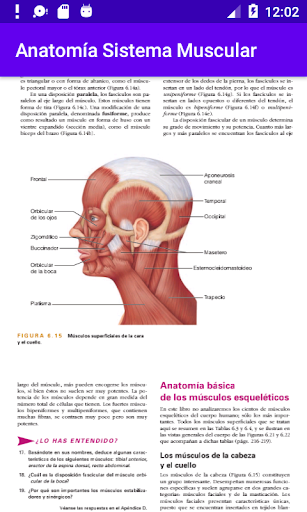 Anatomía Sistema Muscular