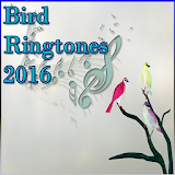 Bird Ringtones 2016 icon