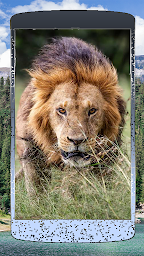 Nice Lion Wallpaper