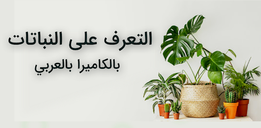 التعرف على النباتات بالعربي