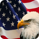 USA Flag Wallpaper icon