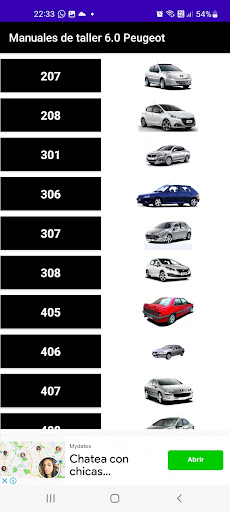 Manuales de taller 6.0 Peugeot Screen 3